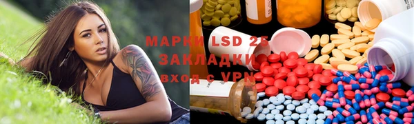 прущие грибы Верхний Тагил