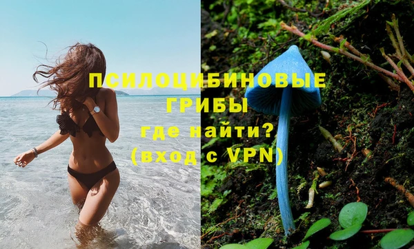 спайс Горно-Алтайск
