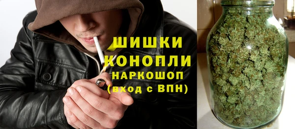 прущие грибы Верхний Тагил