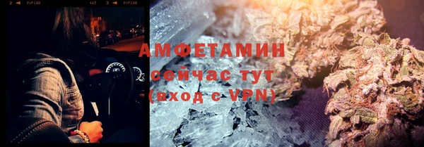 прущие грибы Верхний Тагил