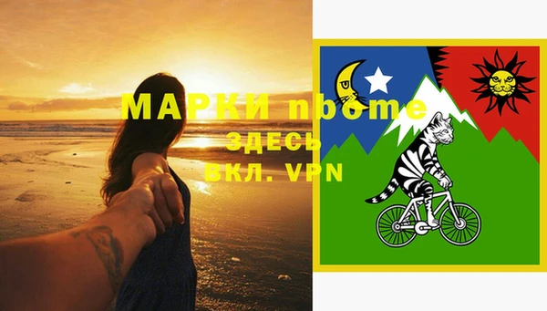 прущие грибы Верхний Тагил