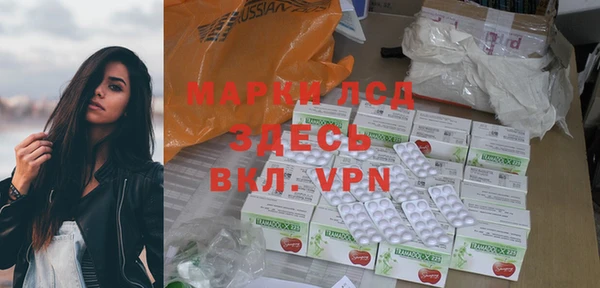 прущие грибы Верхний Тагил