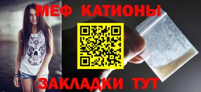 прущие грибы Будённовск