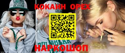 прущие грибы Будённовск