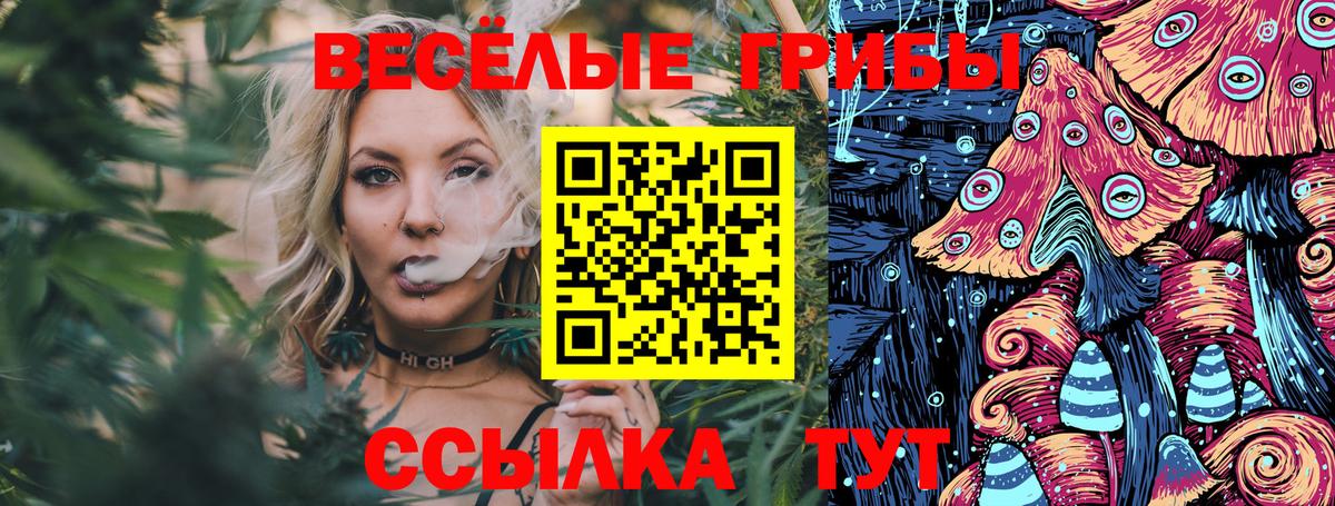 Псилоцибиновые грибы прущие грибы Губаха