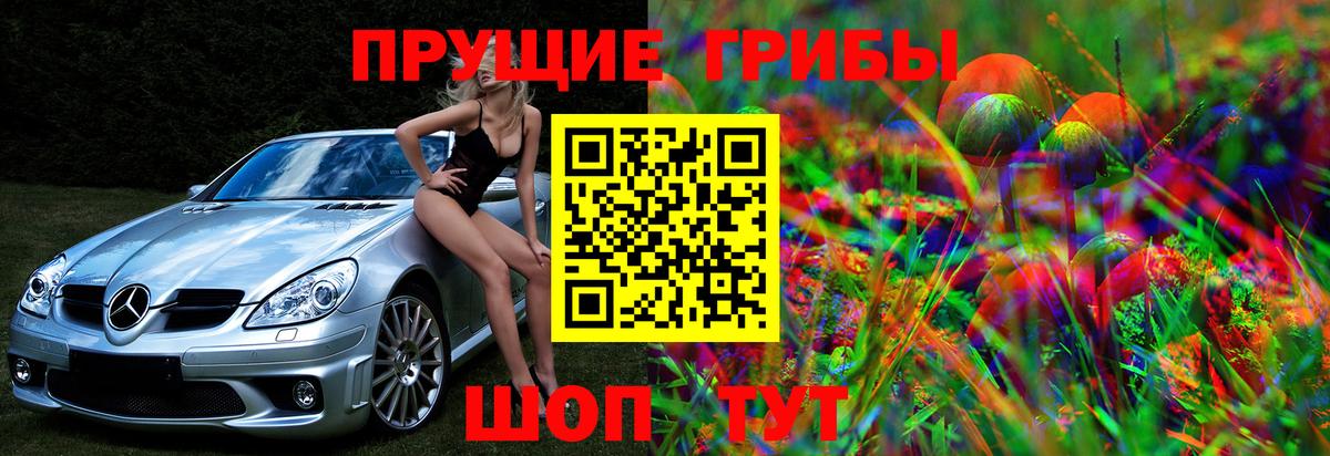 Псилоцибиновые грибы GOLDEN TEACHER Губаха
