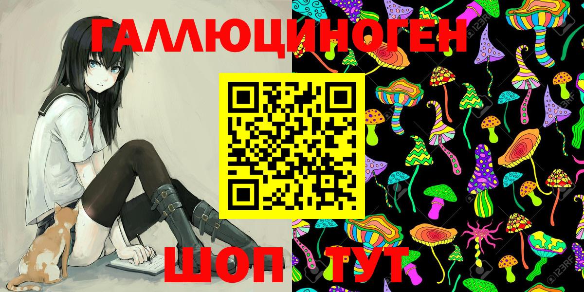 Галлюциногенные грибы Cubensis  купить закладку  Губаха 