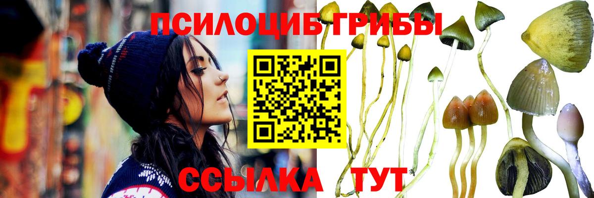Галлюциногенные грибы Magic Shrooms  Вход с VPN  Губаха 
